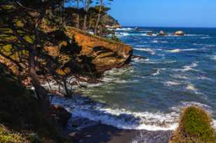 Point Lobos-3583.jpg